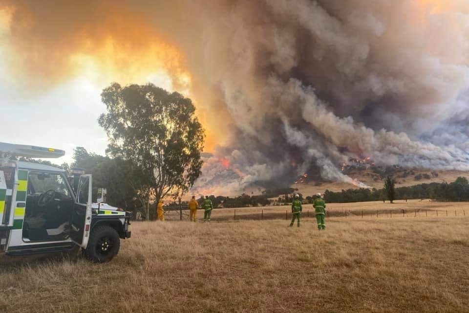 Help Donate to Victims of Fires in Australia